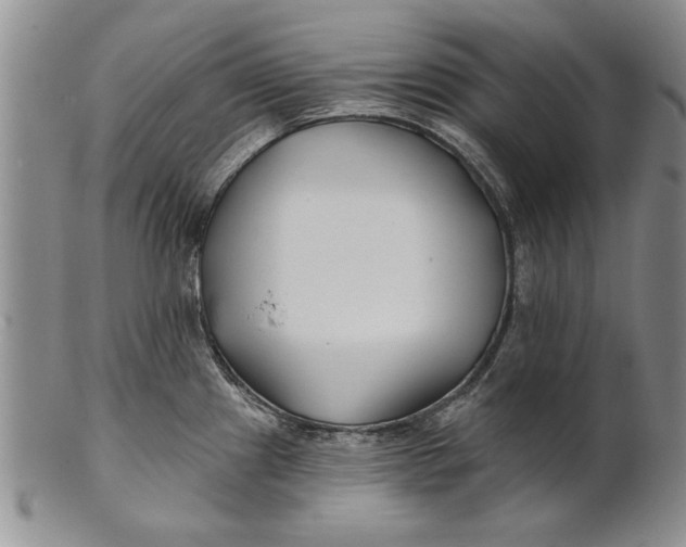 X0000100751241200807101655