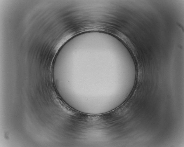 X0000100751242200807101655