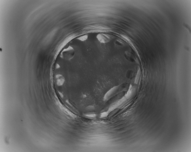 X0000100751243200807101655