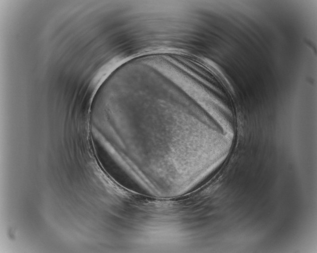 X0000100751244200807101655