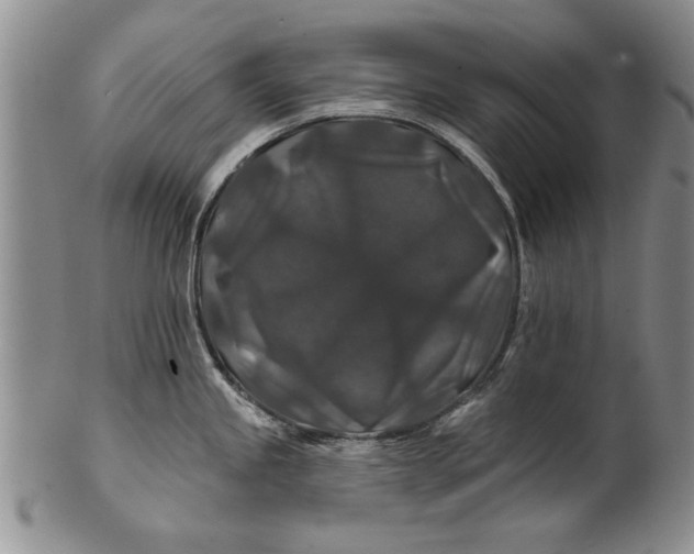 X0000100751245200807101655