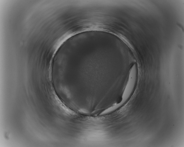 X0000100751246200807101656