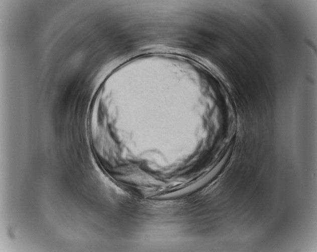 X0000100751247200807101656