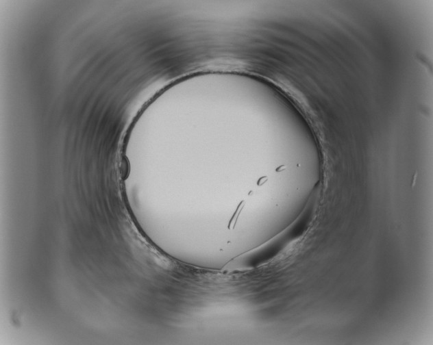 X0000100751248200807101656