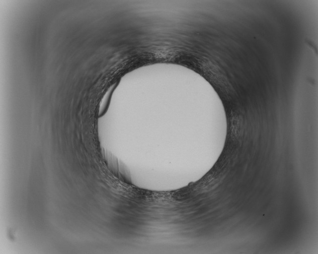 X0000100751249200807101655