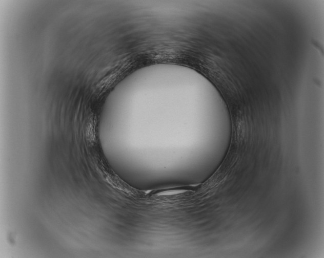 X0000100751250200807101655