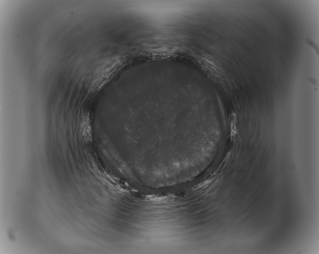 X0000100751252200807101655