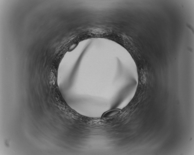 X0000100751253200807101655