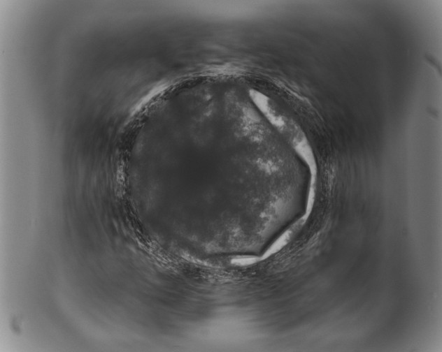 X0000100751254200807101655