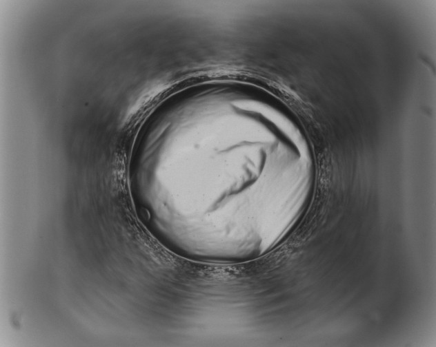 X0000100751255200807101655