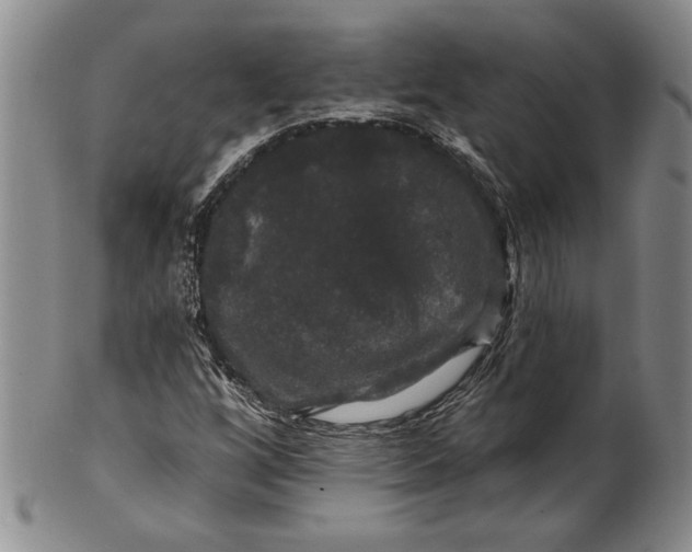 X0000100751256200807101655