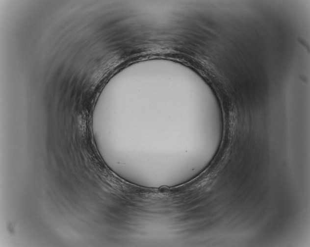 X0000100751257200807101655