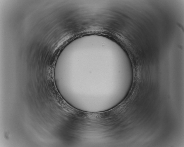 X0000100751258200807101655