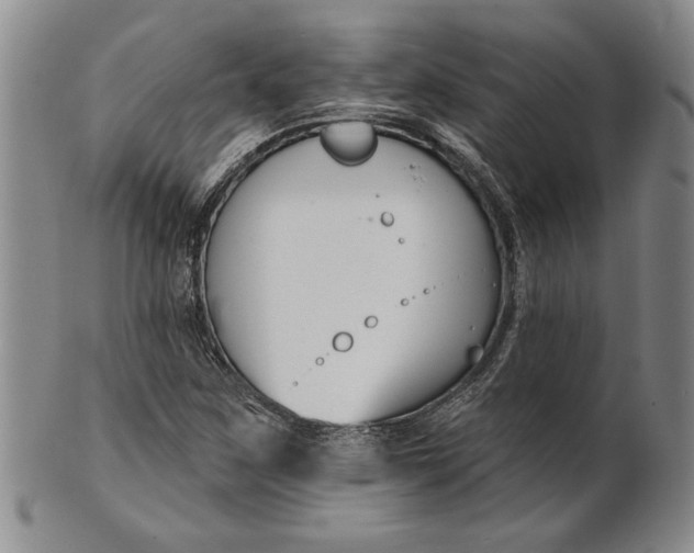 X0000100751259200807101655