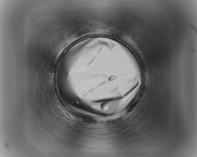 X0000100751260200807101655