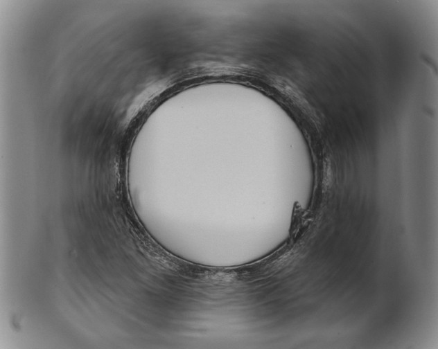 X0000100751261200807101655