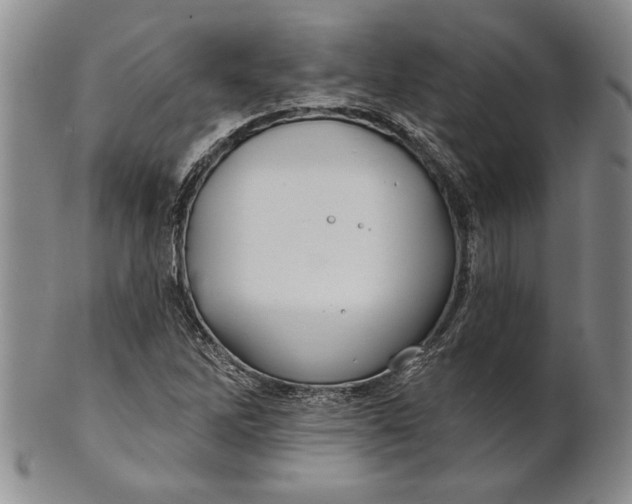 X0000100751262200807101655