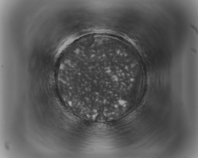 X0000100751263200807101655