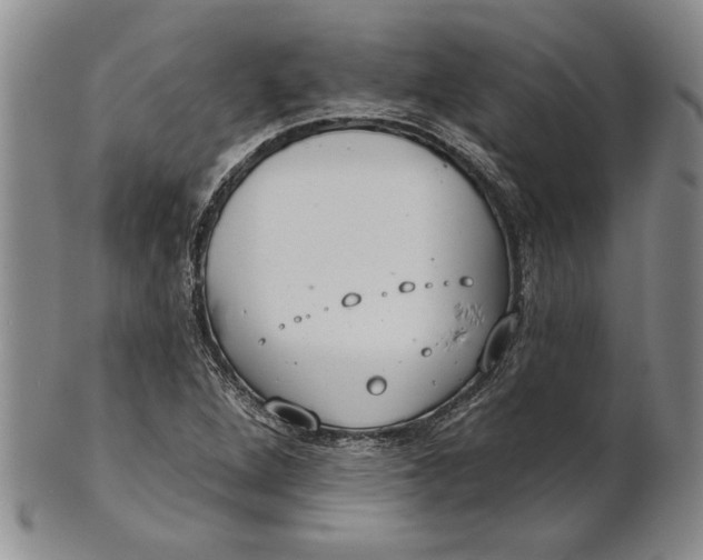 X0000100751264200807101655