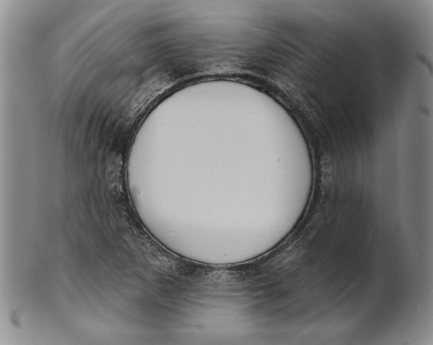 X0000100751265200807101655