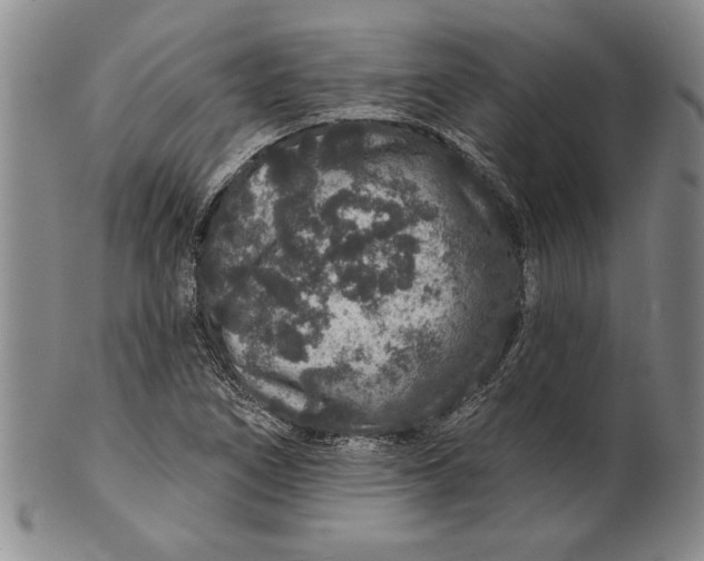 X0000100751266200807101655