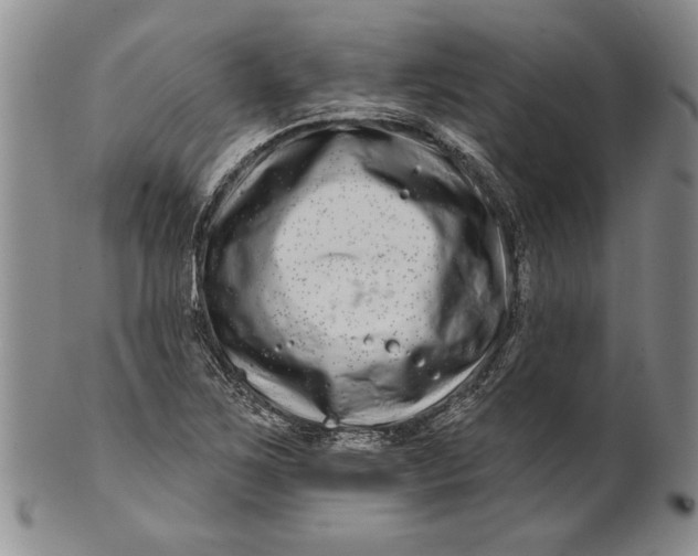 X0000100751267200807101655