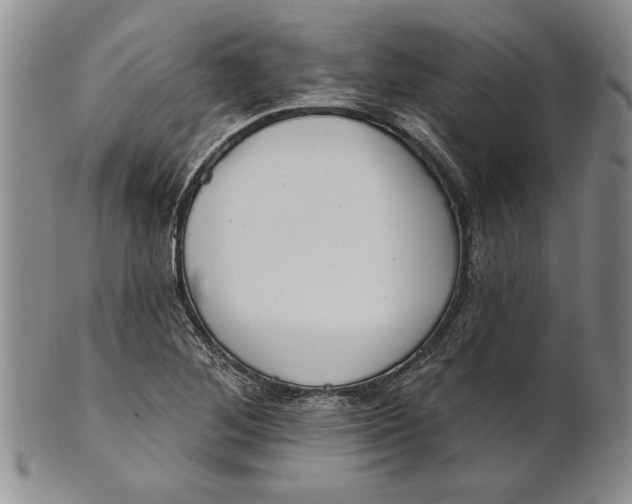 X0000100751268200807101655