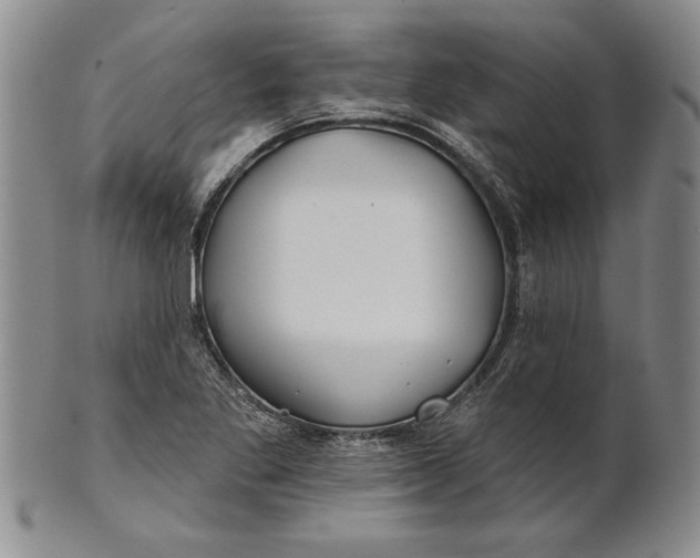 X0000100751269200807101655