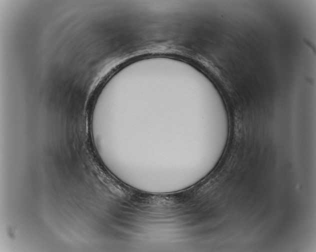 X0000100751270200807101655