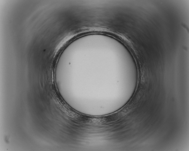 X0000100751271200807101655