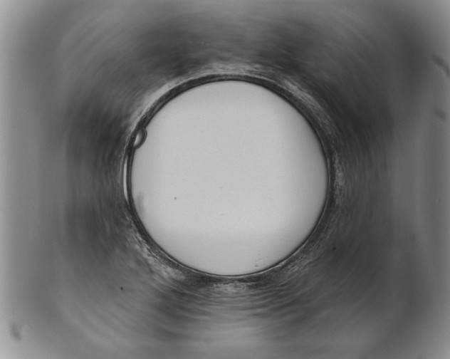 X0000100751272200807101655