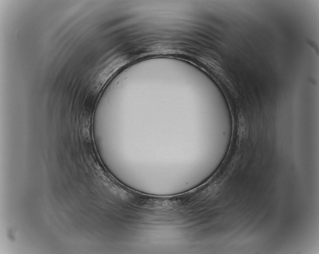 X0000100751273200807101655