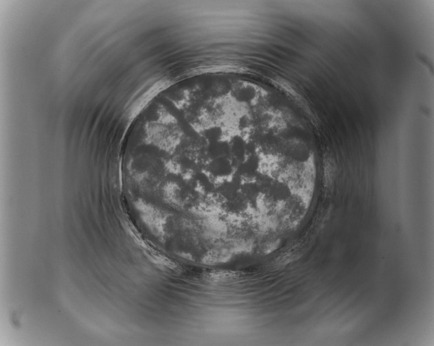 X0000100751274200807101655