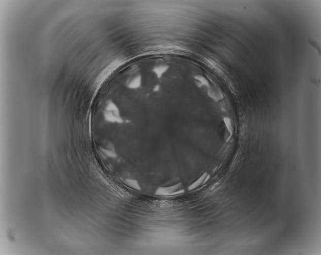 X0000100751275200807101655