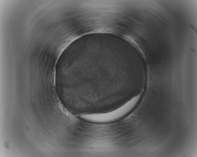 X0000100751276200807101654