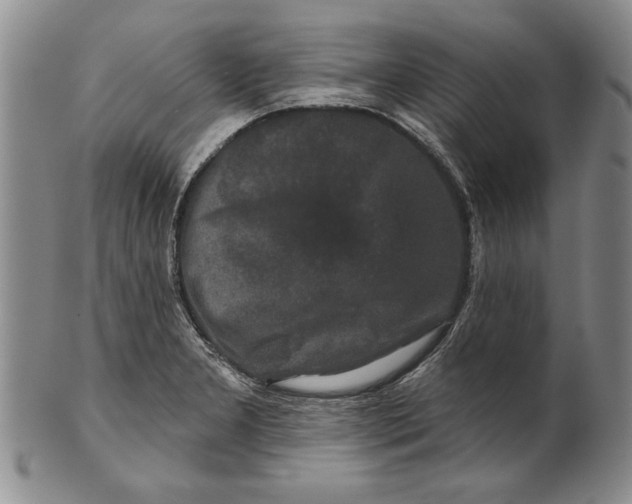 X0000100751277200807101654