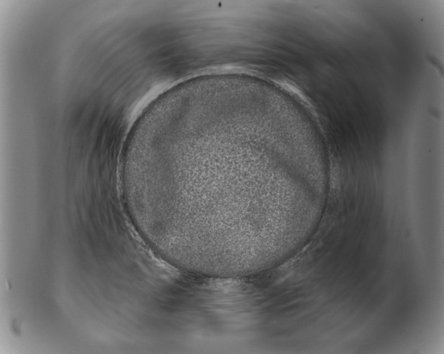 X0000100751278200807101654