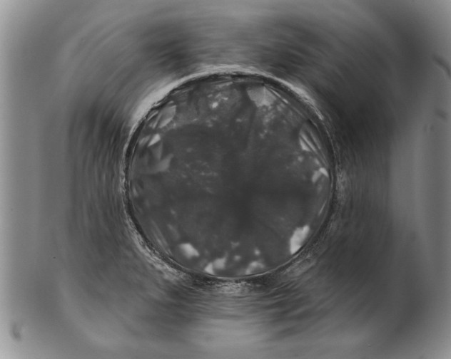 X0000100751279200807101654