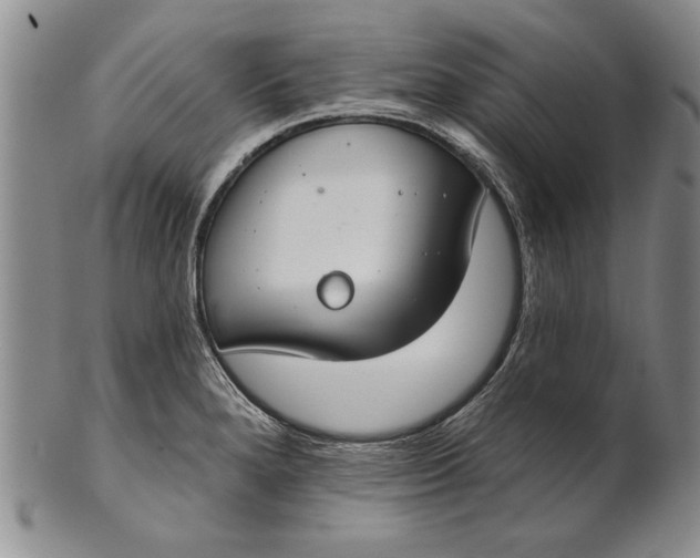 X0000100751280200807101654