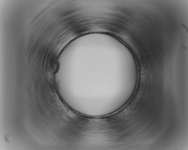 X0000100751281200807101654