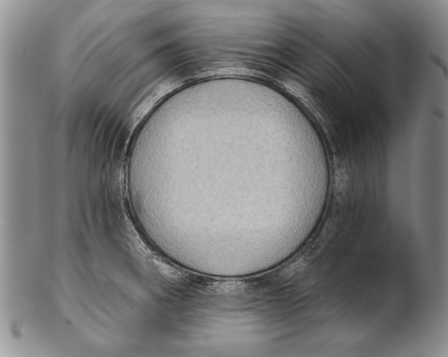 X0000100751282200807101654