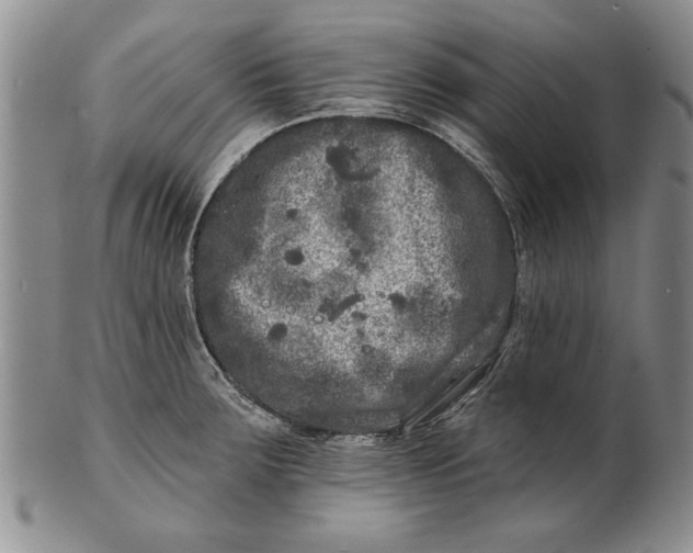 X0000100751283200807101654