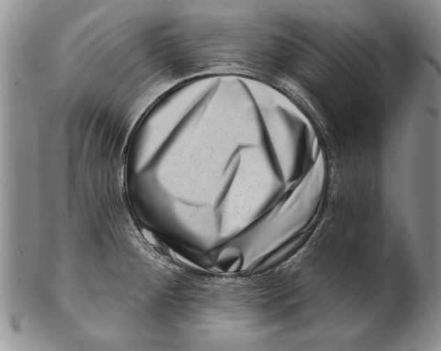 X0000100751284200807101654