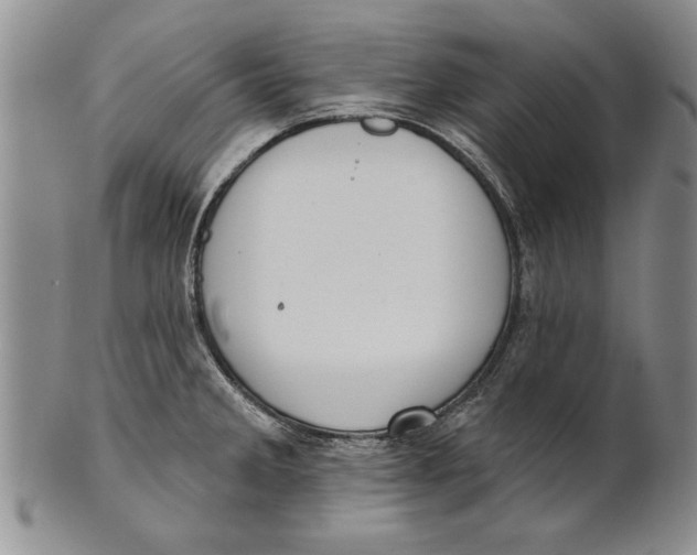 X0000100751285200807101654