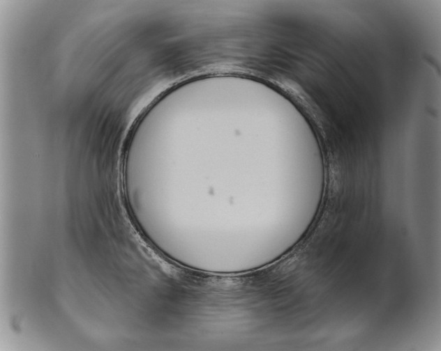 X0000100751286200807101654