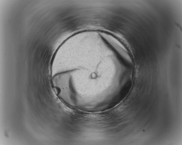 X0000100751287200807101654