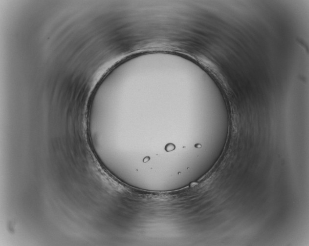 X0000100751288200807101654