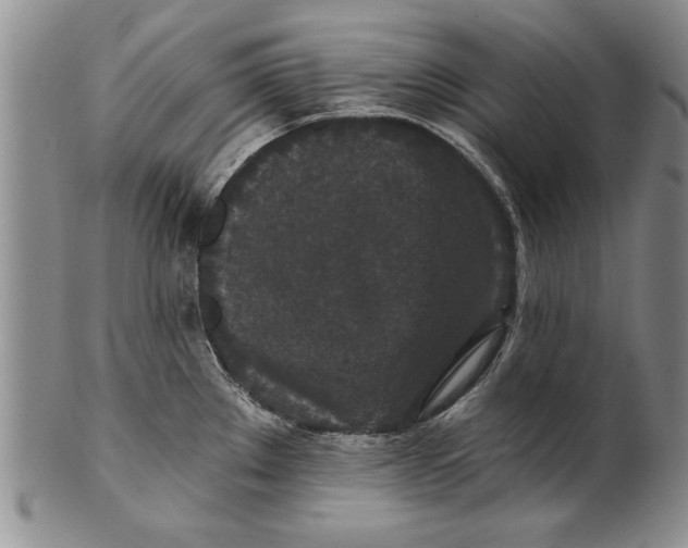 X0000100751289200807101654