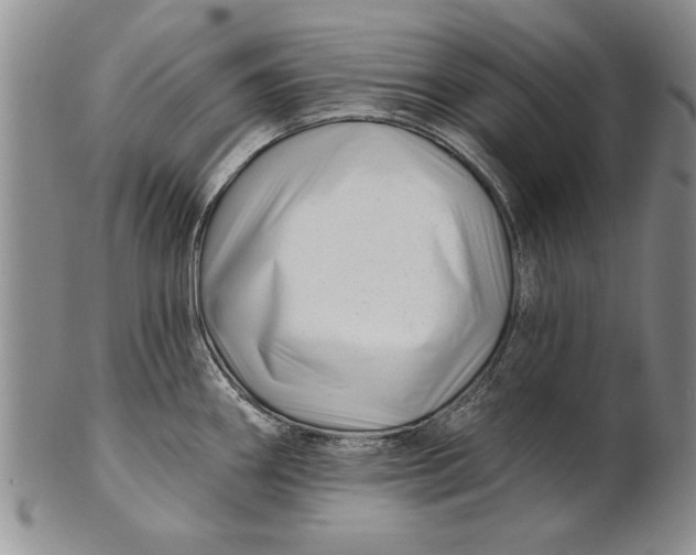 X0000100751290200807101654