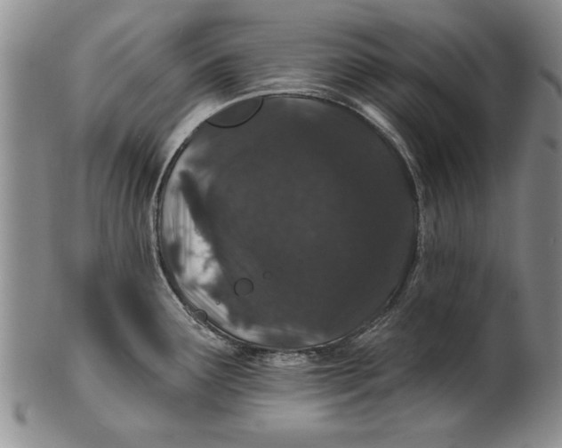 X0000100751291200807101654